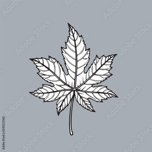  Leaf vector style illustration art.