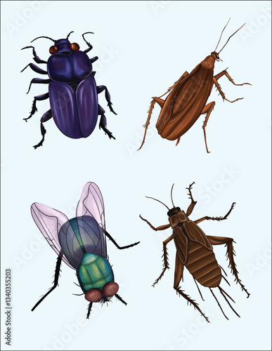 Realistic Hand Drawn Insect Collection