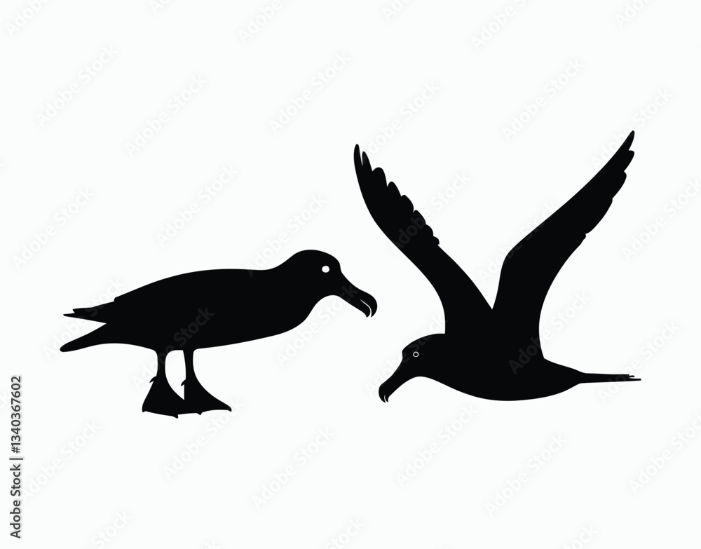 Obraz premium Simple Albatross Silhouette Vector Template