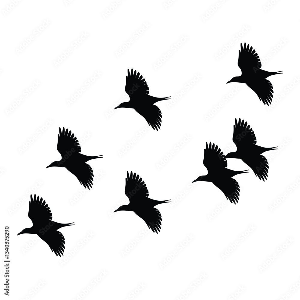 Obraz premium Birds Silhouette, Vector, Icon, Logo, White Background.