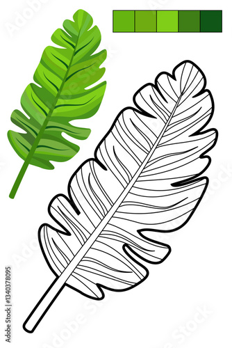 Coloring page whit tropical leaf for coloring book about exotic plants. Contour, colorful sample, color palette. For preschool and early elementary school children, to kid enjoy jungle vibes