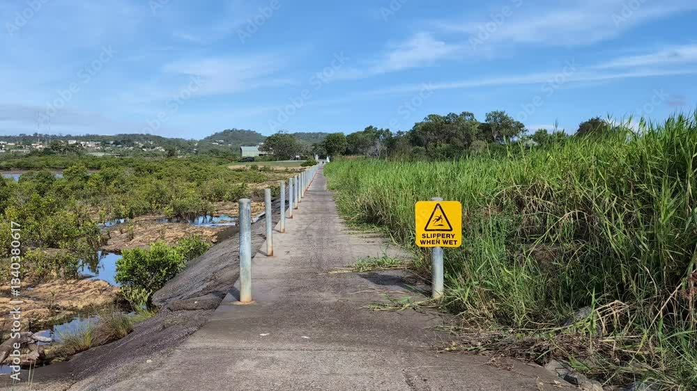 Concrete path next to reeds, mangrove trees and a slippery when wet ...