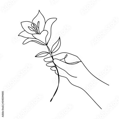 Singleline drawing of a hand offering a lily flower