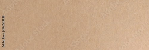 Texture brown Paper. Background. Copy Space Parchment. 