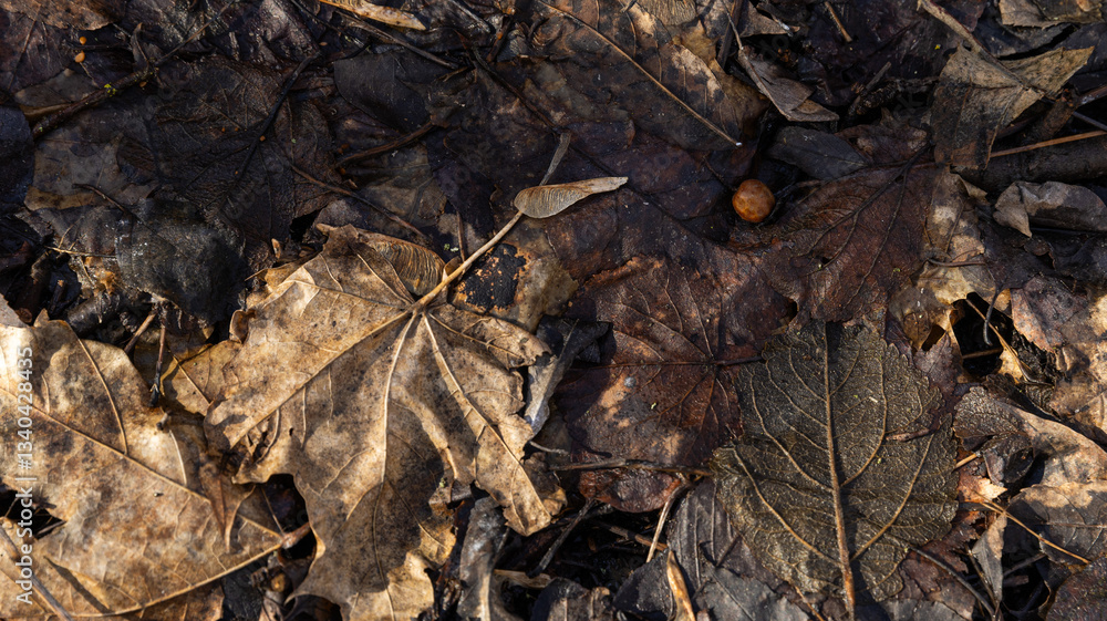 A colorful bunch of leaves is gently laying on the ground now A colorful bunch of leaves is gently laying on the ground now