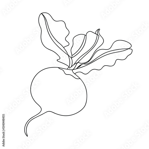 SingleLine Beetroot Drawing Vegetable, Root, Farm, Food, Plant