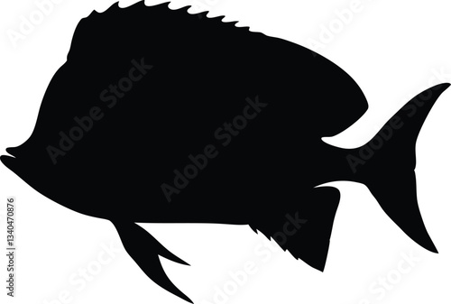 Mahi Mahi Fish silhouette vector