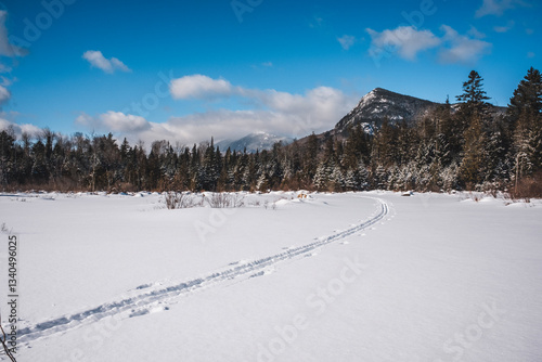 Ski trail through fresh snow near Bigelow Mountain, Maine