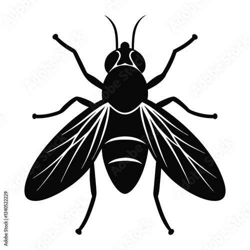 black fly isolated on white background