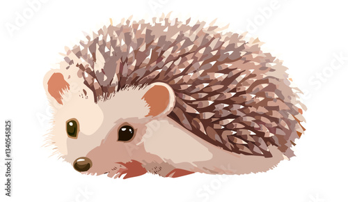 hedgehog on white background