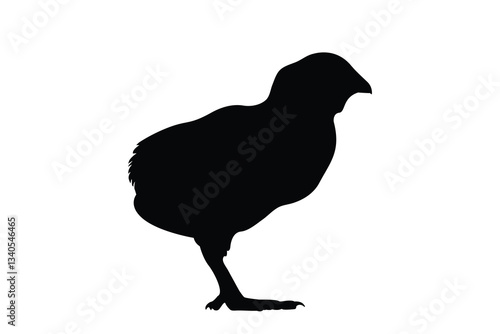 silhouette of a little chick vector icon illustration on white background.