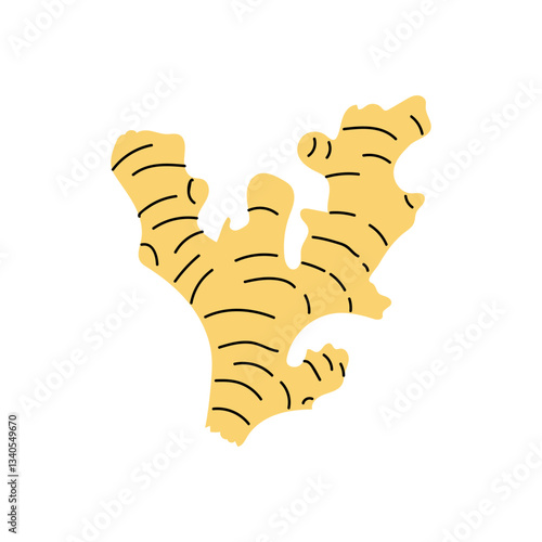 Fresh ginger root displayed on a white background creates an appealing look for culinary uses and health benefits