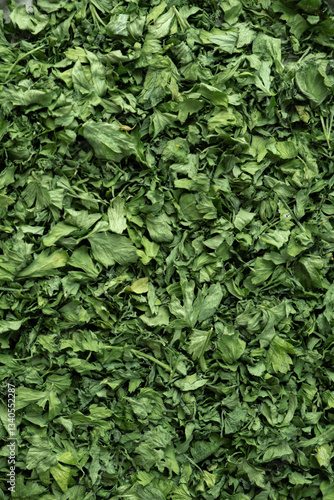 Wallpaper Mural Fresh dried greenery parsley adaptogens ingredient vertical background. Herbal medicine healthy eating. Superfood prebiotic food. Sustainable homegrown organic herbs Torontodigital.ca