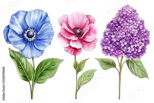 A delicate trio of watercolor florals graces the scene, showcasing nature's serene beauty The gentle brushstrokes capture the essence of each bloom, revealing its unique charm The anemone, hydrangeas