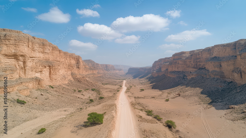 Fototapeta premium deep canyon with dramatic rock formations and sandy road