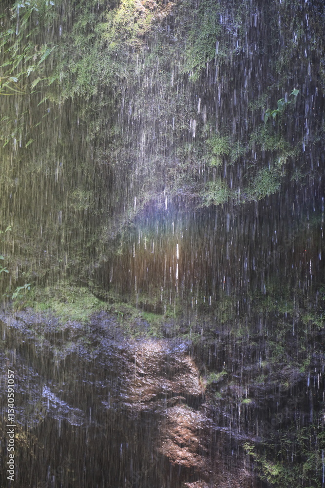Obraz premium rainbow in the rain