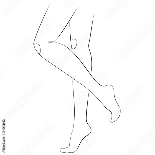 Women's legs line drawing on white isolated background