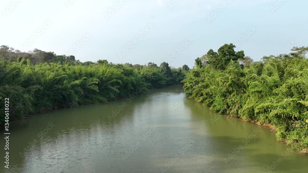 Serene river view in Cát Tiên National Park, surrounded by lush tropical forest Serene river view in Cát Tiên National Park, surrounded by lush tropical forest