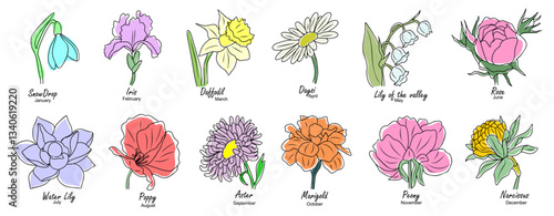 Set of birth month flowers colorful vector illustrations isolated on white background. Daisy, rose, peony, aster, iris, narcissus, water lily, snowdrop hand drawn design for logo, tattoo, packaging.