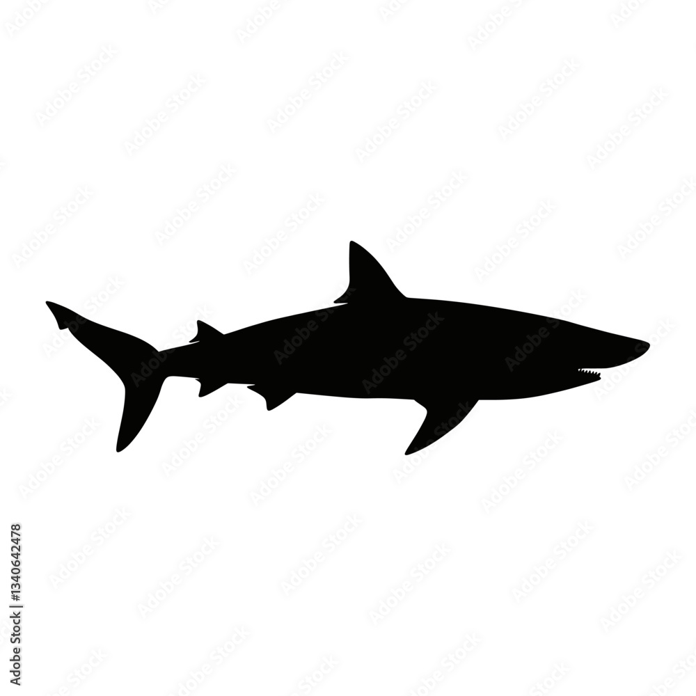 Shark silhouette animal black predator vector Shark silhouette animal black predator vector