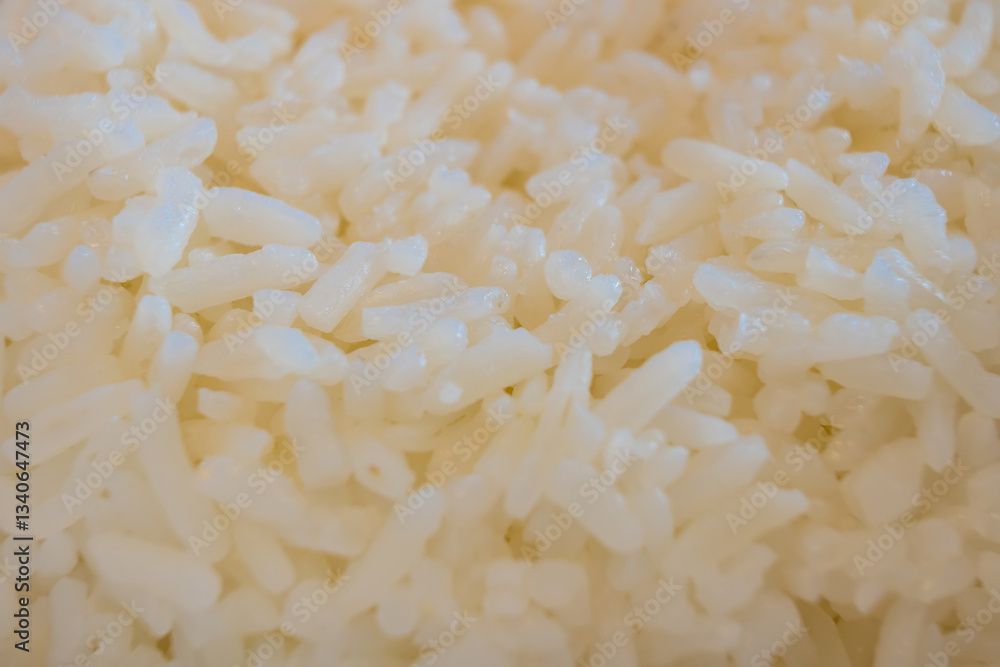 Close-up of freshly cooked white rice showcasing its texture and individual grains Close-up of freshly cooked white rice showcasing its texture and individual grains