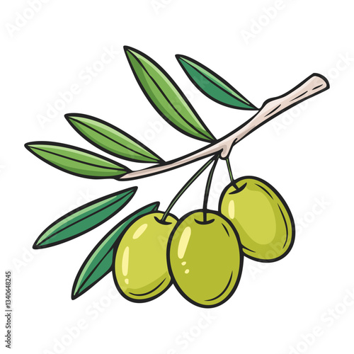Green olives on a branch vector illustration in sketch style. Mediterranean fruits on a tree on an isolated background. Line art color for packaging and design.