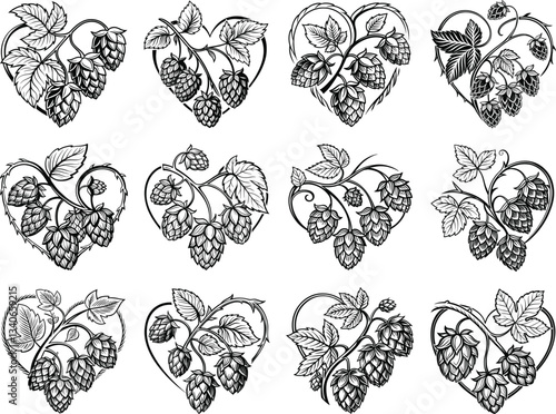 silhouette Hop Hand Drawn Vector Illustration Hops Plant,hop, illustration, plant, silhouette, vector, design, beer, art, drawing, nature, isolated, brewery, sketch, graphic, ink, vintage, outline,