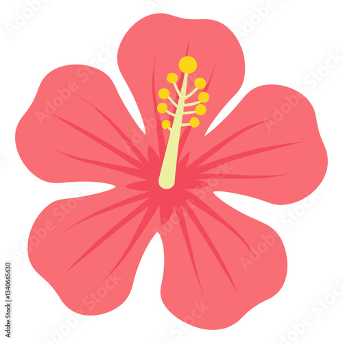 Individual hibisus of colorful flower illustration hibiscus graphic vector
