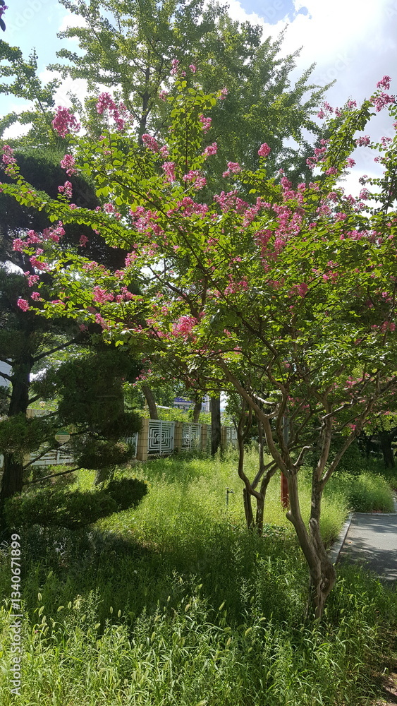 Obraz premium garden in spring