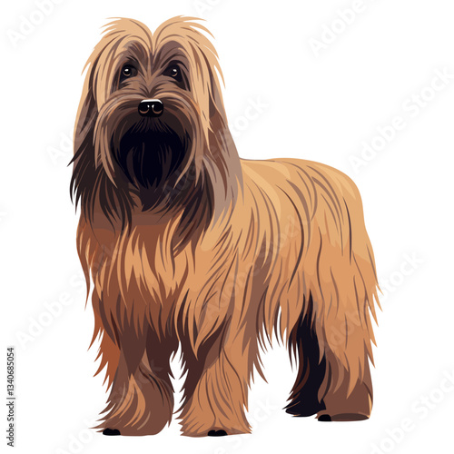 Briard dog illustration pet art vector