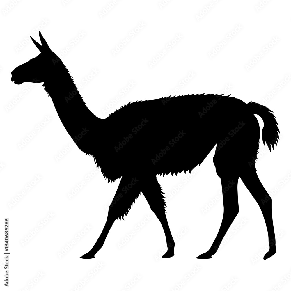 Fototapeta premium Llama walking silhouette illustration animal vector