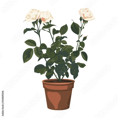 Potted plant white roses illustration leaves potted vector