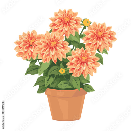 Potted plant Dahlia flowers dahlia illustration potted vector