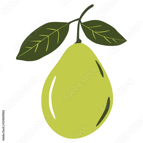 Avocado illustration simple fruit vector