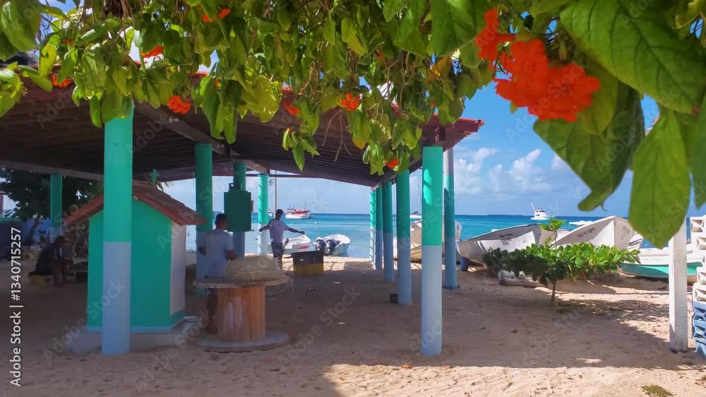 Shelter covered People under the shade. Orange flowers in the foreground frame the view, adding a pop of color. Relaxed and tropical atmosphere, caribbean culture, Los Roques Archipelago Venezuela Shelter covered People under the shade. Orange flowers in the foreground frame the view, adding a pop of color. Relaxed and tropical atmosphere, caribbean culture, Los Roques Archipelago Venezuela