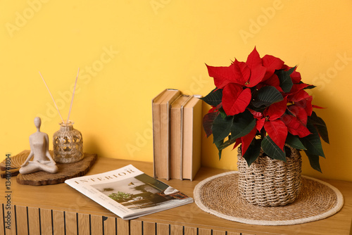 Christmas plant poinsettia ...