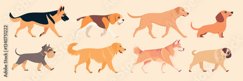 Diverse dog breeds illustration, isolated vector set