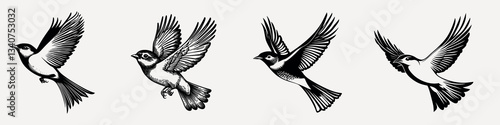 Silhouettes of flying birds, isolated element set vector
