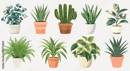Vibrant potted indoor plants illustration, isolated element set vector