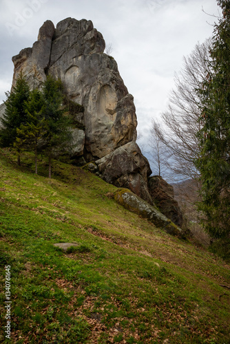 Scenic Panoramic View of Tustan Reserve in the Carpathian Mountains, Ukraine – Rock Formations and Coniferous Forest on a Cloudy Day