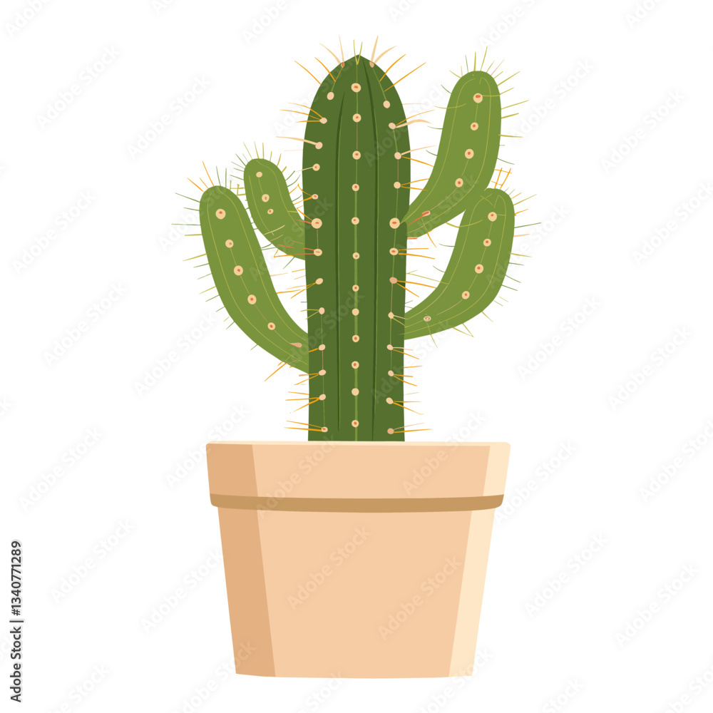 Potted plant cactus illustration potted botanical vector Potted plant cactus illustration potted botanical vector