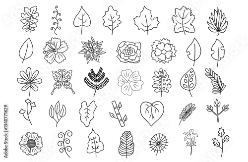Vector Set of Beautiful Hand Drawn Floral Decorative Illustration for Designers