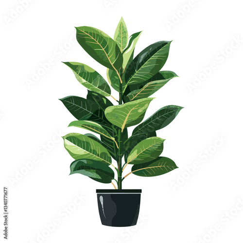 Potted green rubber plant illustration potted leaves vector