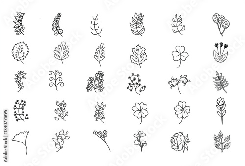 Vector Set of Beautiful Hand Drawn Floral Decorative Illustration for Designers