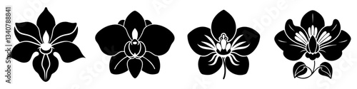 orchid flower icon, orchid flower silhouette vector illustration-simple silhouette illustration of orchid flower, perfect for orchid flower logos and icons