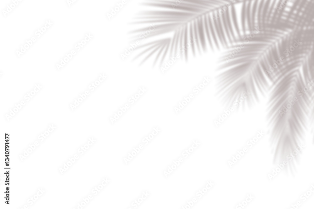 Obraz premium Realistic palm leaf shadow overlay effect isolated on white background, Natural shadow of tropical palm branch. Mockup of transparent shadow for product presentation, backdrop, Design elements, PNG