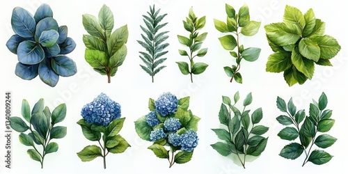 Watercolor painting showcasing a collection of various leaves and blue hydrangeas