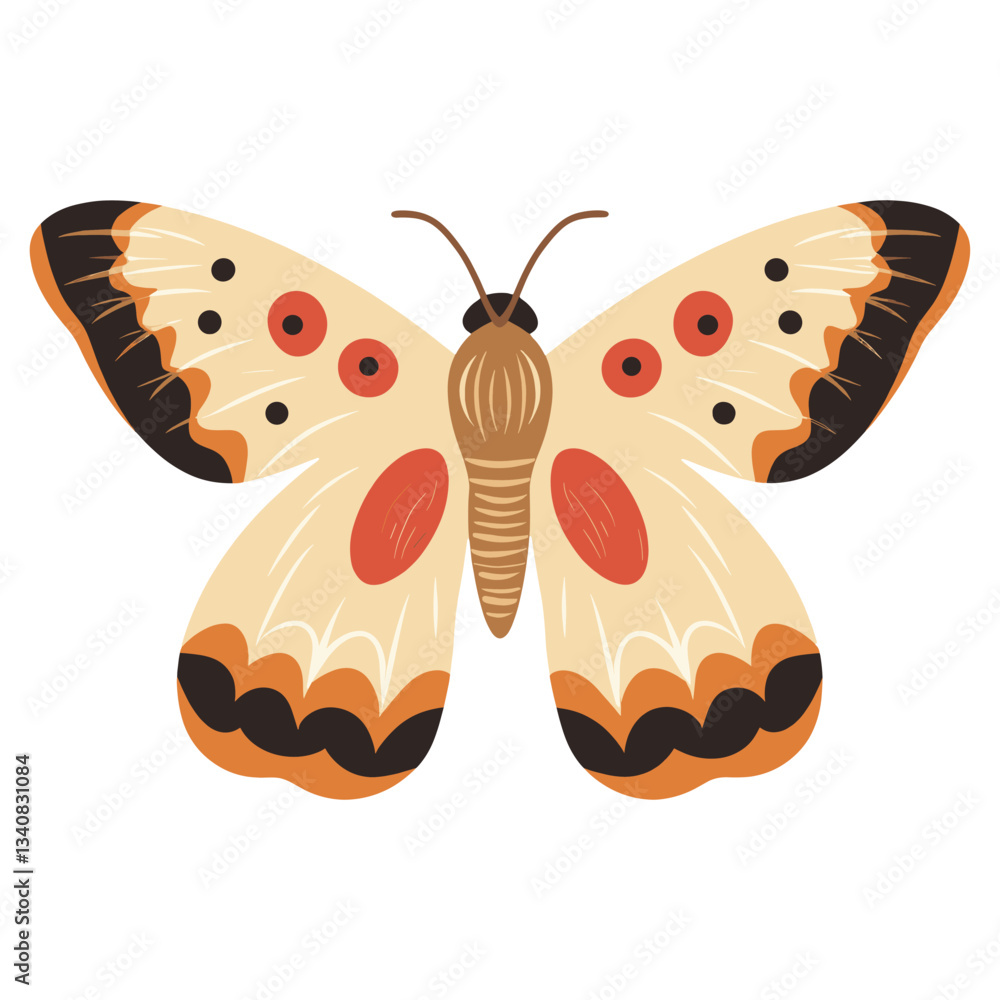 Moth illustration butterfly insect vector Moth illustration butterfly insect vector