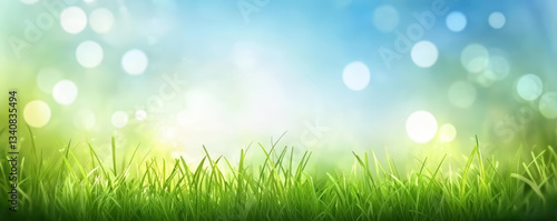 Lush green grass under bright blue sky creates serene summer meadow background, evoking sense of tranquility and joy