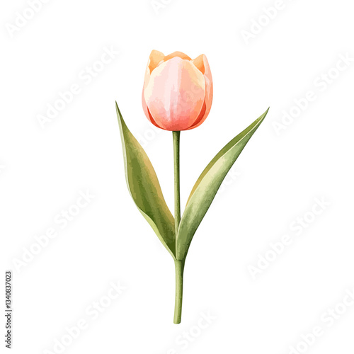 Ethereal Tulip Bloom: A del...